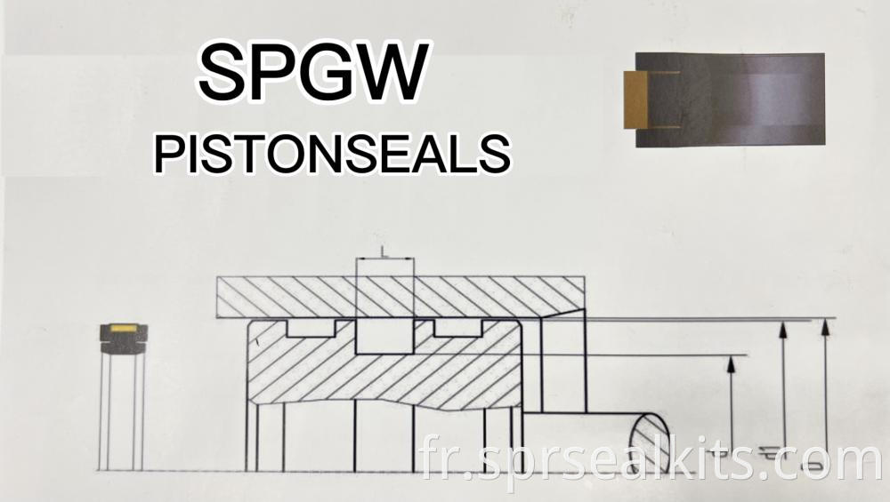 Special Seal For Spgw Piston Seal07
